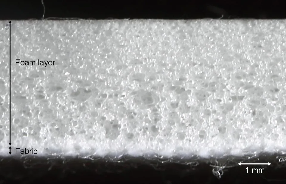 聚氨酯分散液泡棉塗在棉布上的真實材料照片，示意窗簾塗層可有不同孔隙、厚度與底布結合，不是特定窗簾產品