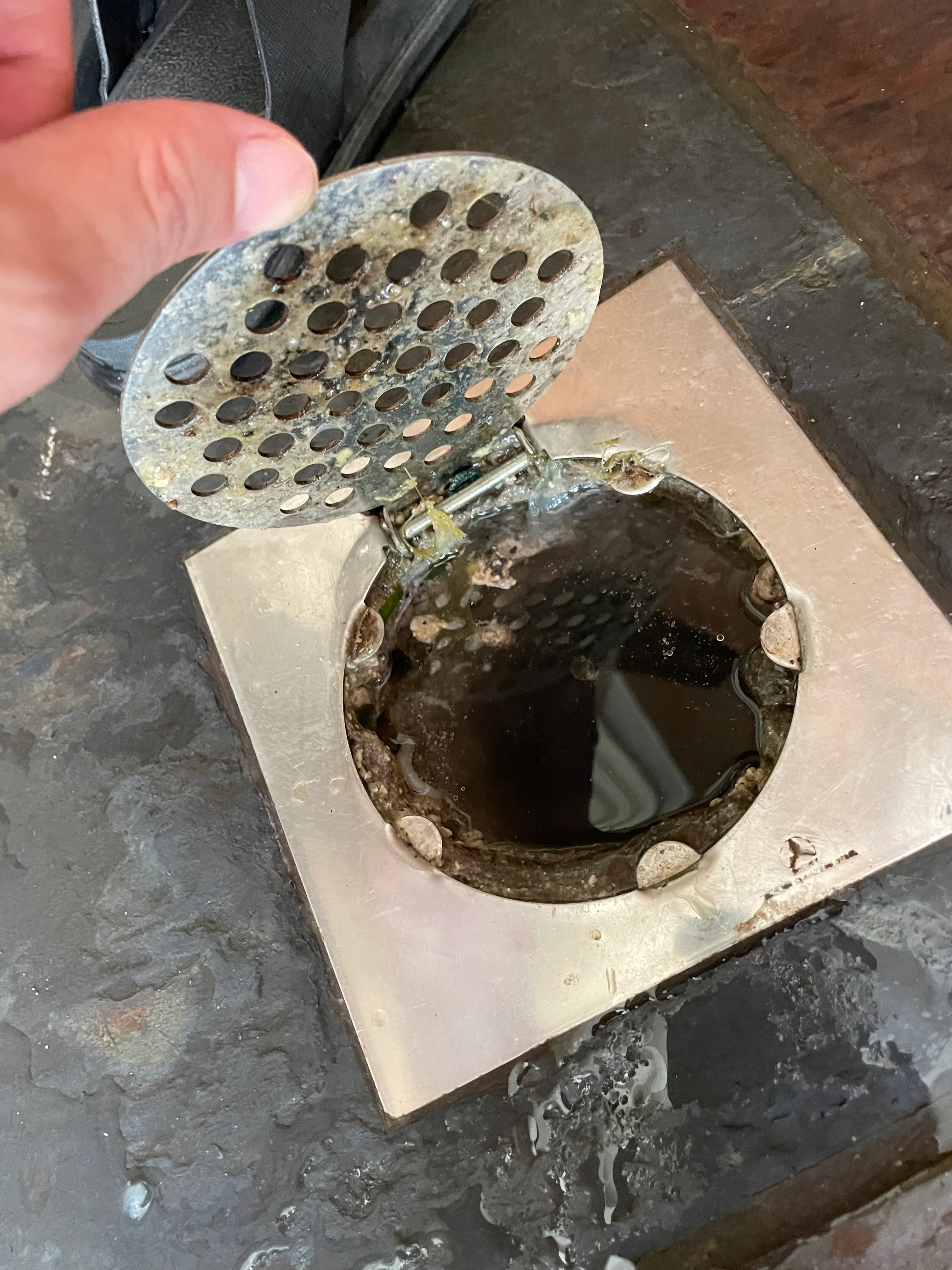 真實堵塞地排與積水，示意連續排水不能取代排水孔與管線維護